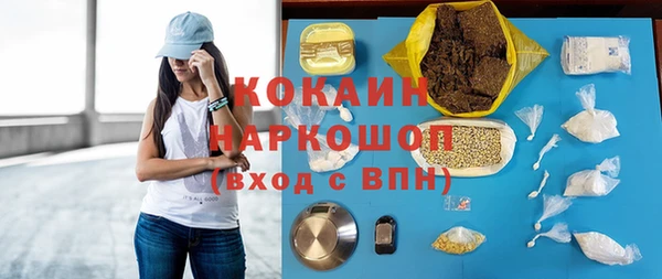 стаф Кулебаки