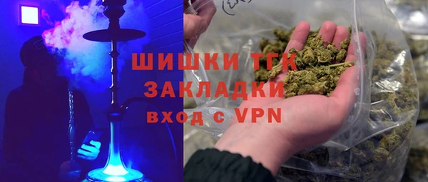 СК Краснослободск