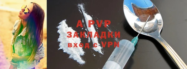 стаф Кулебаки