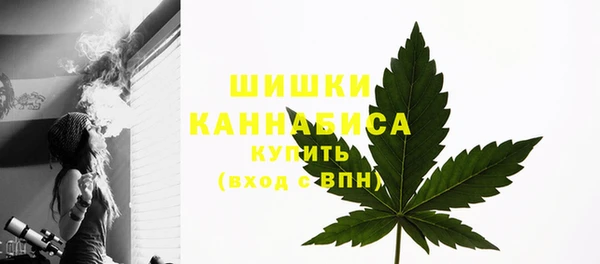 стаф Кулебаки