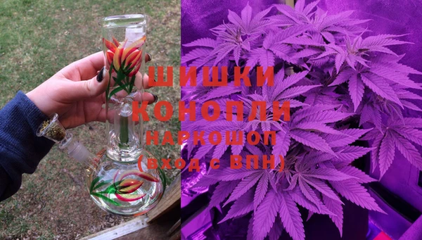 СК Краснослободск