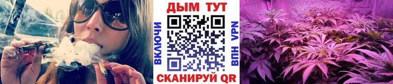Бошки марихуана марихуана Купить Нелидово